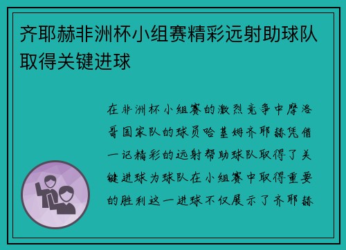 齐耶赫非洲杯小组赛精彩远射助球队取得关键进球